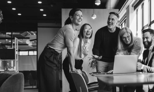 busines developer